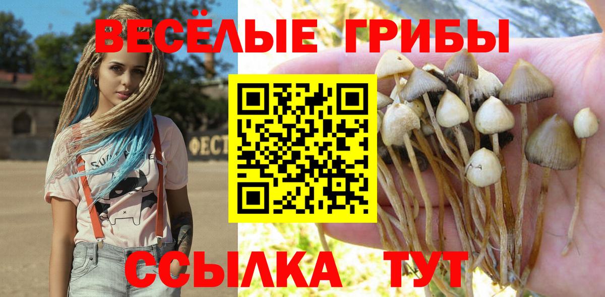 Галлюциногенные грибы Psilocybe  купить  цена  Жуковский  Вход с VPN 